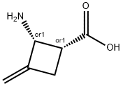 Cyclobutanecarboxylic acid, 2-amino-3-methylene-, (1R,2R)-rel- (9CI) Struktur