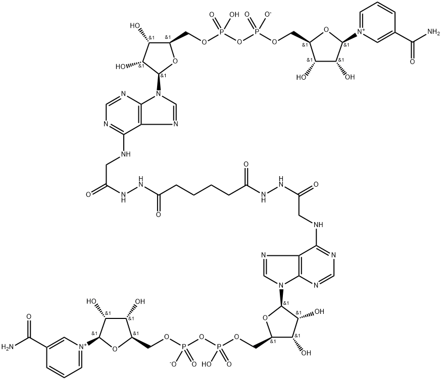 N(2),N(2)'-adipodihydrazido-bis-(N(6)-carbonylmethyl-NAD) Struktur