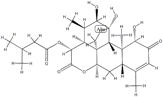 castelanone Struktur