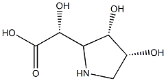 2-Pyrrolidineaceticacid,-alpha-,3,4-trihydroxy-,[2R-[2-alpha-(S*),3-bta-,4-bta-]]-(9CI) Struktur