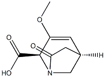 1-Azabicyclo[3.2.1]oct-3-ene-2-carboxylicacid,3-methoxy-7-oxo-,(1R,2S,5R)-rel-(9CI) Struktur