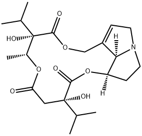 Parsonsine Struktur