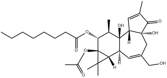 Octanoic acid, 9a-(acetyloxy)-1a,1b,4,4a,5,7a,7b,8,9,9a-decahydro-4a,7 b-dihydroxy-3-(hydroxymethyl)-1,1,6,8-tetramethyl-5-oxo-1H-cyclopropa( 3,4)benz(1,2-e)azulen-9-yl ester, (1aR-(1aalpha,1bbeta,4abeta,7aalpha, 7balpha,8alpha,9beta,9aalpha))- Struktur