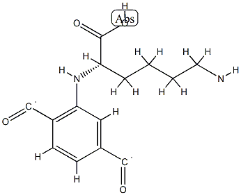 Poly(imino(1-carboxy-1,5-pentanediyl)iminocarbonyl-1,4-phenylenecarbon yl) Struktur