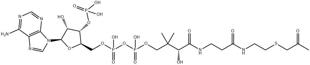 acetonyl-coenzyme A Struktur