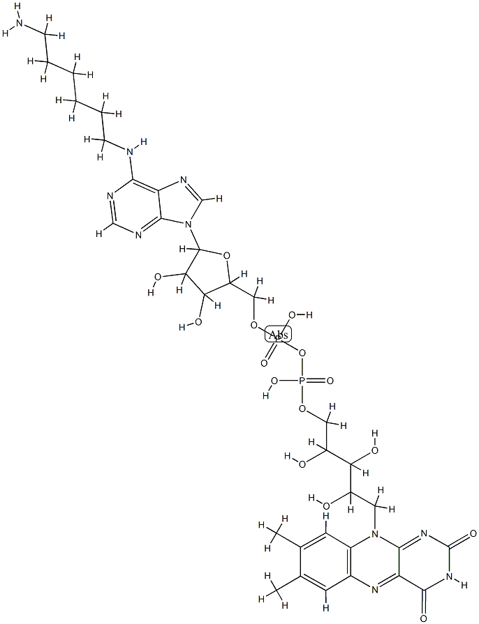 N(6)-aminohexyl-flavin adenine dinucleotide, 76748-73-7, 結(jié)構(gòu)式