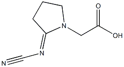 1-Pyrrolidineaceticacid,2-(cyanoimino)-(9CI) Struktur