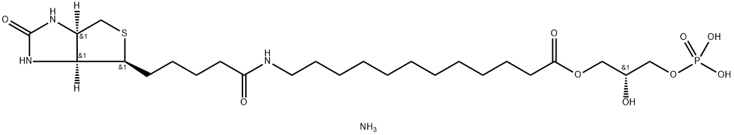 1-[12-biotinyl(aMinododecanoyl)]-2-hydroxy-sn-glycero-3-phosphate (aMMoniuM salt) Struktur