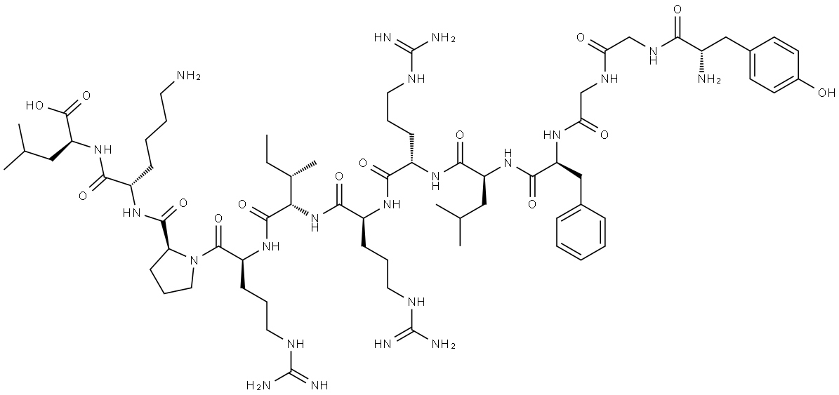 dynorphin (1-12) Struktur