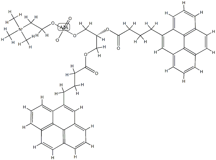 1,2-bis(4-(1-pyreno)butanoyl)-sn-glycero-3-phosphorylcholine Struktur