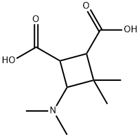 1,2-Cyclobutanedicarboxylicacid,4-(dimethylamino)-3,3-dimethyl-(8CI) Struktur