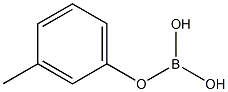 Boric acid (H3BO3), mono(3-methylphenyl) ester (9CI) Struktur