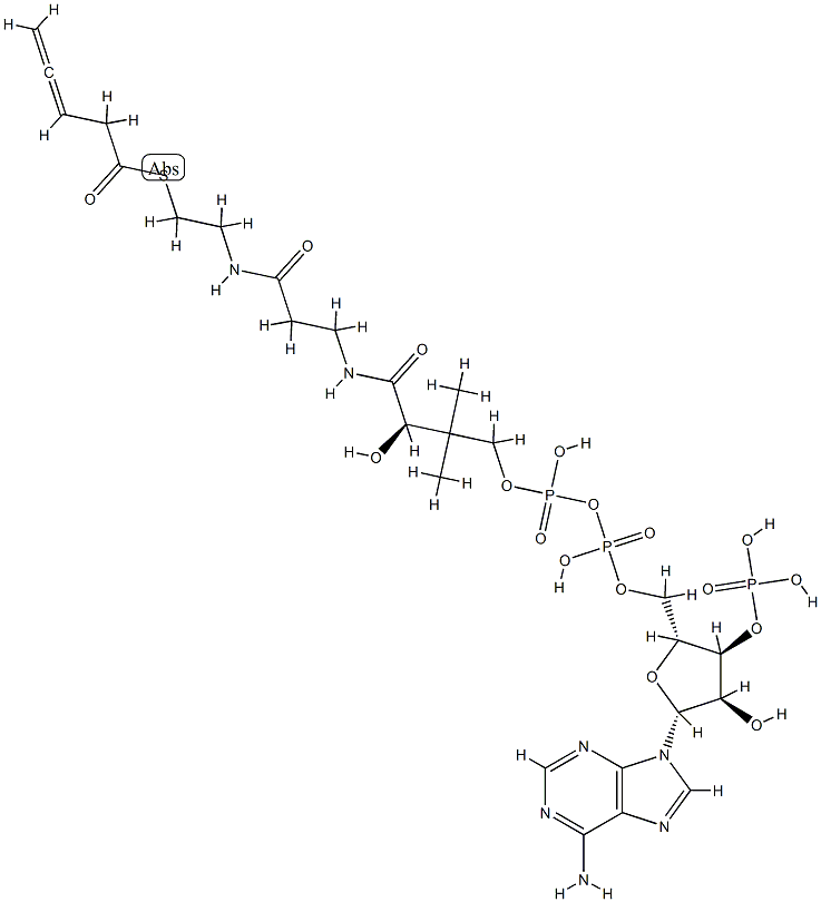 3,4-pentadienoyl-coenzyme A Struktur