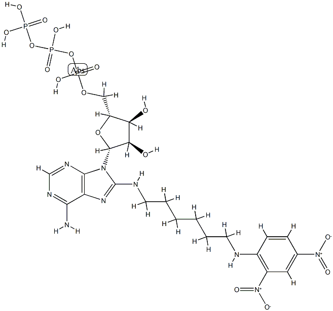 8-(2,4-dinitrophenyl-2,6-aminohexyl)aminoadenosine 5'-triphosphate Struktur