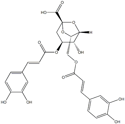 Erigoster B Struktur