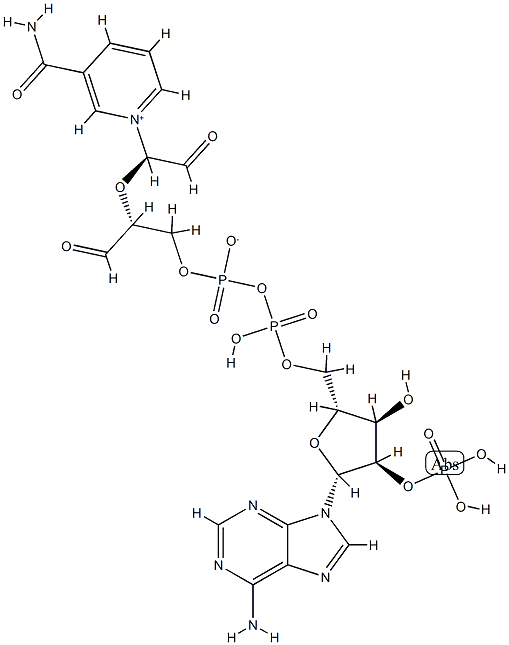 2',3'-dialdehyde NADP Struktur