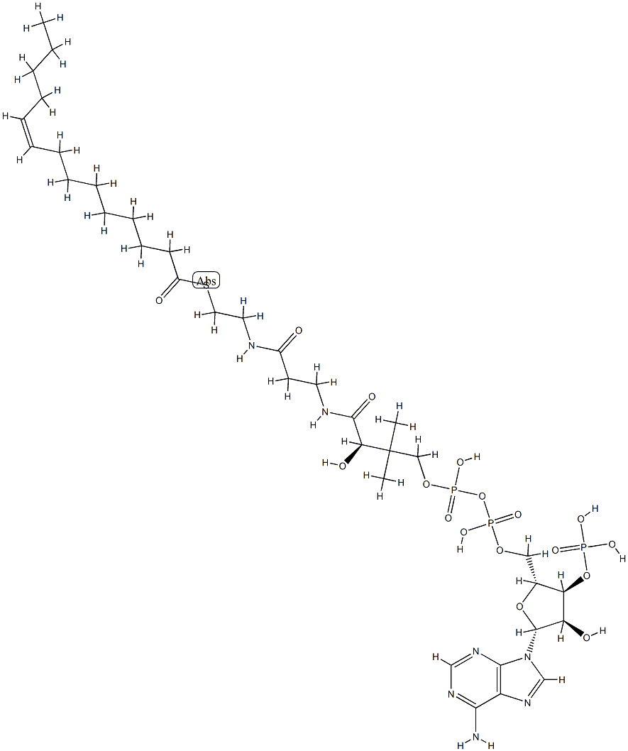 coenzyme A myristoleoyl derivative (C14:1), lithium salt Struktur