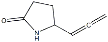 2-Pyrrolidinone,5-(1,2-propadienyl)-(9CI) Struktur