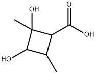 Cyclobutanecarboxylic acid, 2,3-dihydroxy-2,4-dimethyl- (6CI,7CI) Struktur