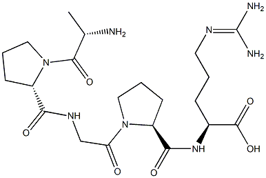 Alkaline Phosphatase