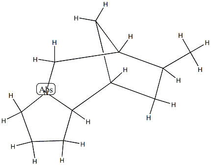 6,9-Methano-1H-pyrrolo[1,2-a]azepine,octahydro-7-methyl-(9CI) Struktur