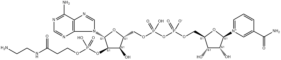 2'-O-(N-(2-aminoethyl)carbamoylethyl)phosphono-NAD Struktur