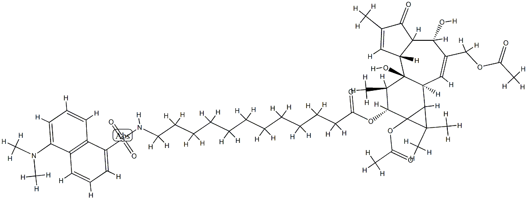 12-O-(12(N)-dansylaminododecanoyl)phorbol 12,20-diacetate Struktur