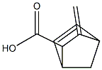 5-Norbornene-2-carboxylicacid,3-methylene-(6CI) Struktur