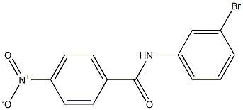 N-(3-bromophenyl)-4-nitrobenzamide Struktur