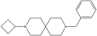 3-BENZYL-9-CYCLOBUTYL-3,9-DIAZASPIRO[5.5]UNDECANE Struktur