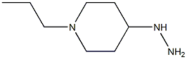 1-(1-propylpiperidin-4-yl)hydrazine Struktur