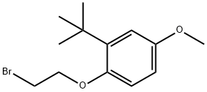 1-(2-bromoethoxy)-2-tert-butyl-4-methoxybenzene Struktur