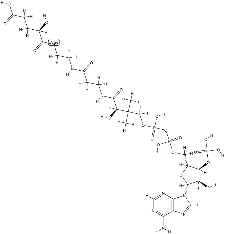 2-hydroxyglutaryl-1-coenzyme A Struktur