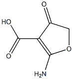 3-Furancarboxylicacid,2-amino-4,5-dihydro-4-oxo-(9CI) Struktur