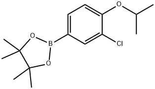 3-Choloro-4-isoproxyphenylboronic acid pinacol ester Struktur