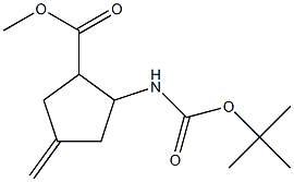 2-tert-Butoxycarbonylamino-4-methylene-cyclopentanecarboxylic acid methyl ester Struktur