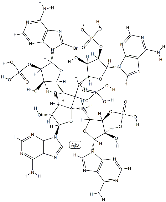 5'-monophosphoryladenylyl-(2'-5')adenylyl-(2'-5')-8-bromoadenylyl-(2'-5')-8-bromoadenosine Struktur