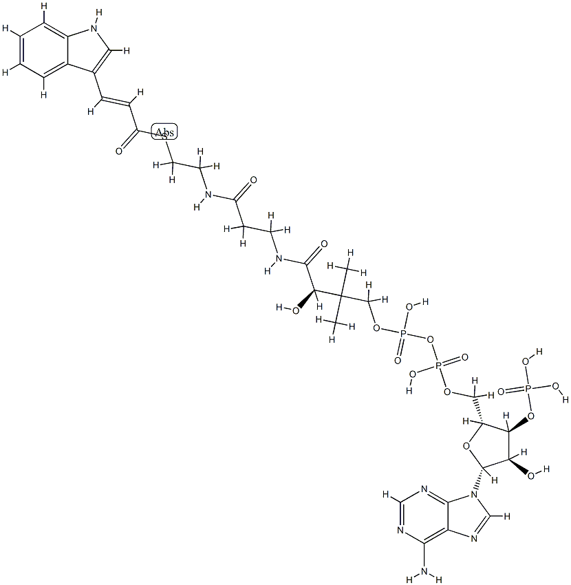 3-indoleacryloyl-coenzyme A Struktur