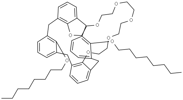 1,3-DIOCTYLOXYCALIX[4!ARENECROWN-6, 97 Struktur