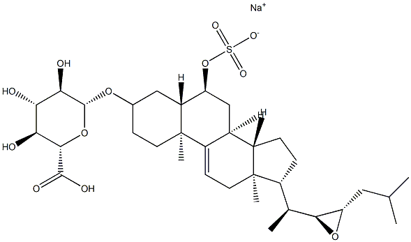 DOWNEYOSIDE C Struktur