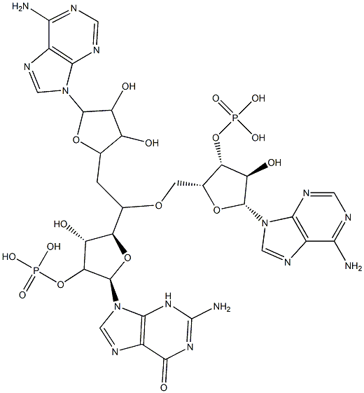 ApApG Struktur