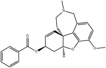 Memogain Struktur