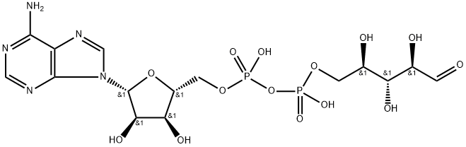 Poly Adenosine Diphosphate Ribose Struktur