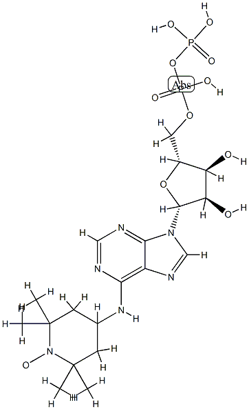 6-(2,2,6,6,-tetramethylpiperidine-1-oxyl)-adenosine diphosphate Struktur