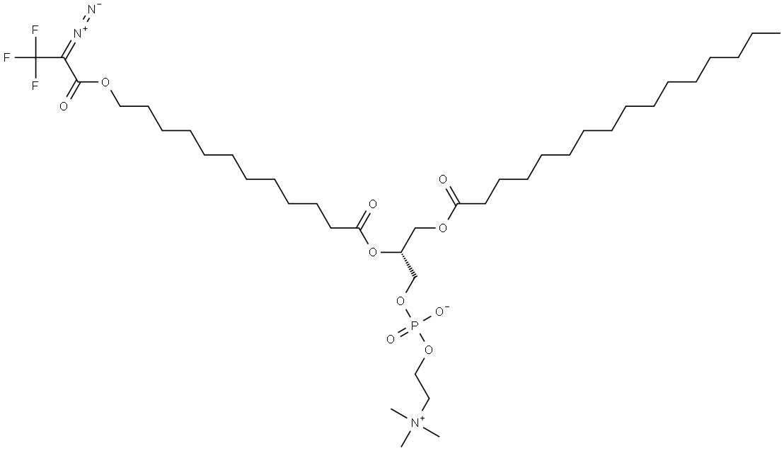 1-palmitoyl-2-omega-(2-diazo-3,3,3-trifluoropropionyloxy)lauroyl-sn-glycero-3-phosphocholine Struktur