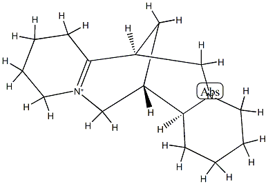 1,6-Didehydrosparteinium Struktur