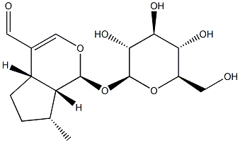 (1S)-1-(β-D-Glucopyranosyloxy)-1,4aα,5,6,7,7aα-hexahydro-7β-methylcyclopenta[c]pyran-4-carbaldehyde Struktur