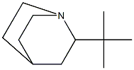 1-Azabicyclo[2.2.2]octane,2-(1,1-dimethylethyl)-(9CI) Struktur