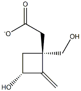 Cyclobutanemethanol, 3-hydroxy-2-methylene-, alpha-acetate, (1R,3R)- (9CI) Struktur