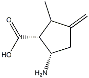 Cyclopentanecarboxylic acid, 5-amino-2-methyl-3-methylene-, (1R,5S)-rel- (9CI) Struktur